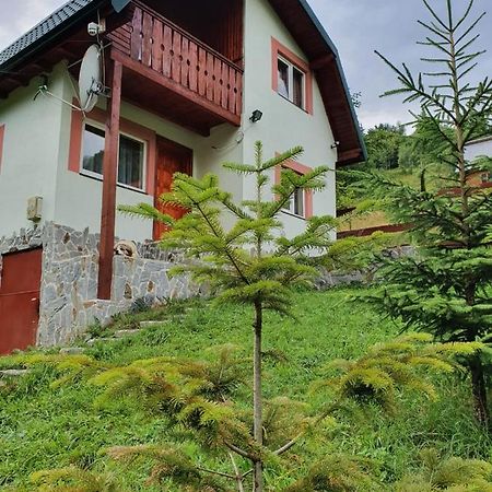 Casa Dor De Ea Villa Dîmbovicioara Екстериор снимка