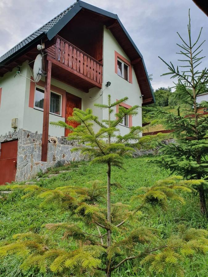 Casa Dor De Ea Villa Dîmbovicioara Екстериор снимка