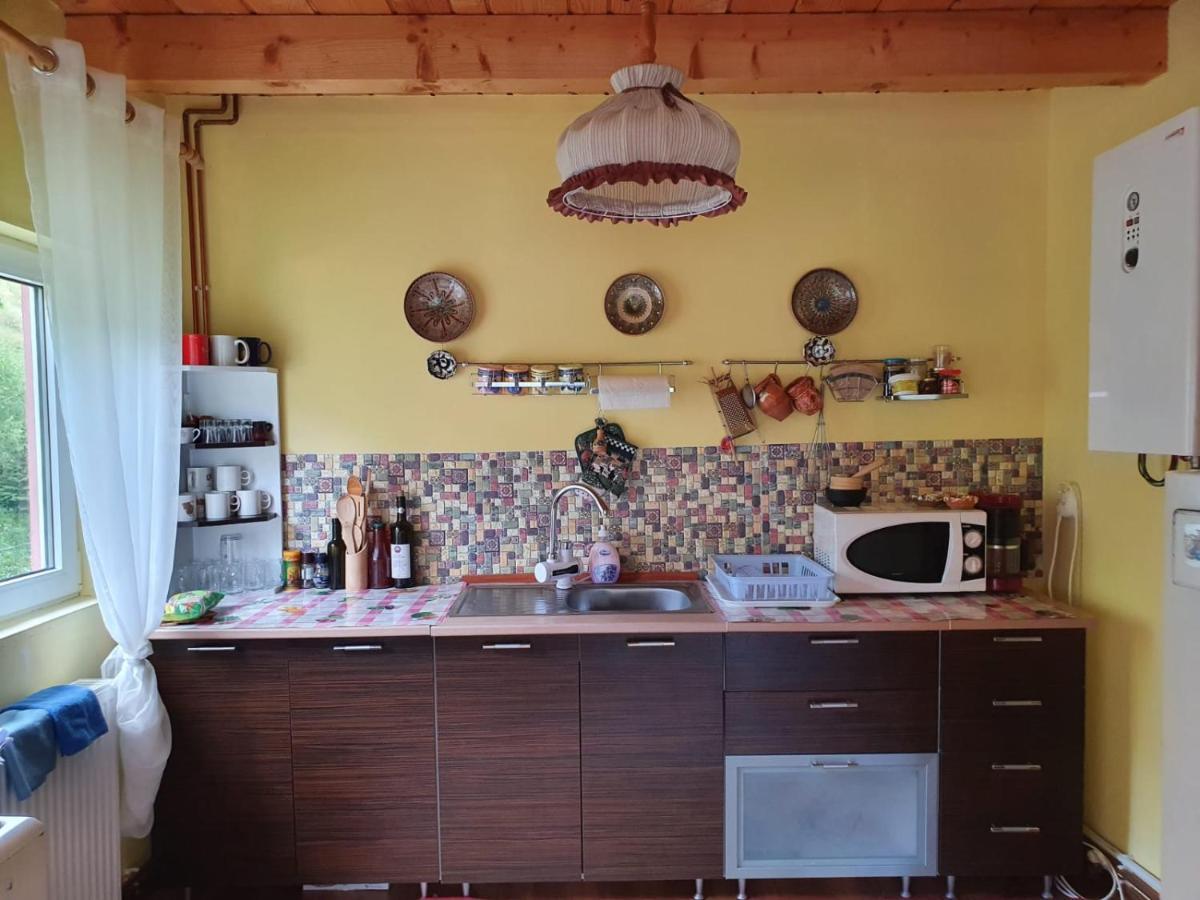 Casa Dor De Ea Villa Dîmbovicioara Екстериор снимка