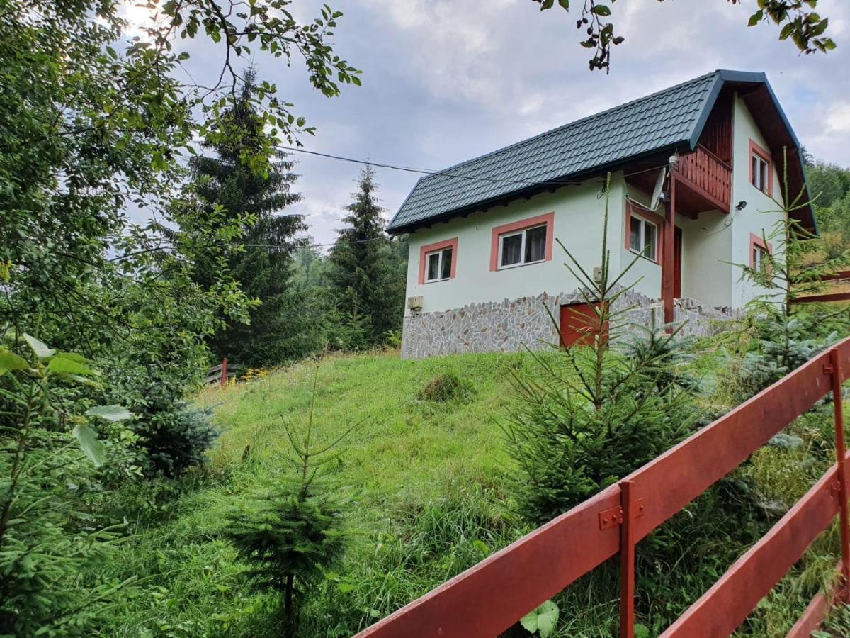 Casa Dor De Ea Villa Dîmbovicioara Екстериор снимка