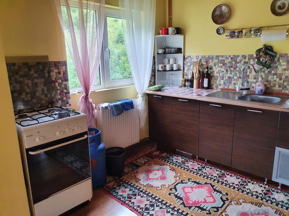 Casa Dor De Ea Villa Dîmbovicioara Екстериор снимка