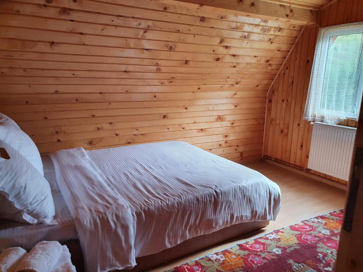 Casa Dor De Ea Villa Dîmbovicioara Екстериор снимка