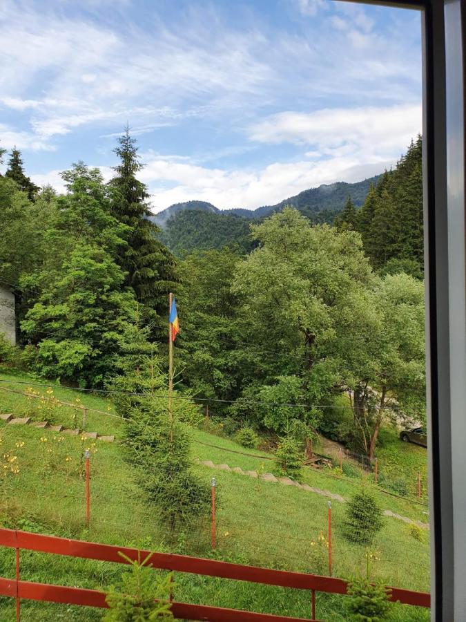 Casa Dor De Ea Villa Dîmbovicioara Екстериор снимка