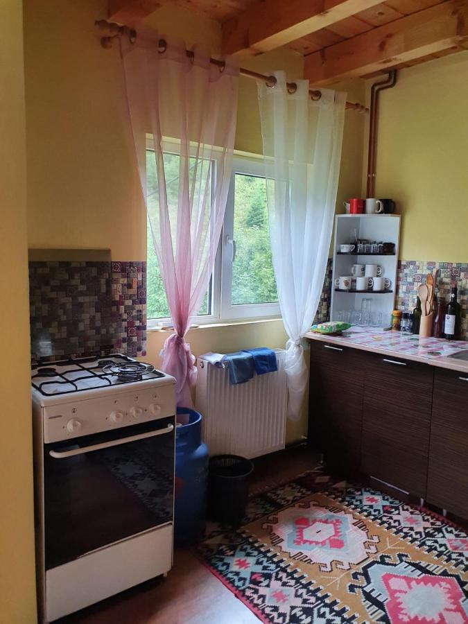 Casa Dor De Ea Villa Dîmbovicioara Екстериор снимка