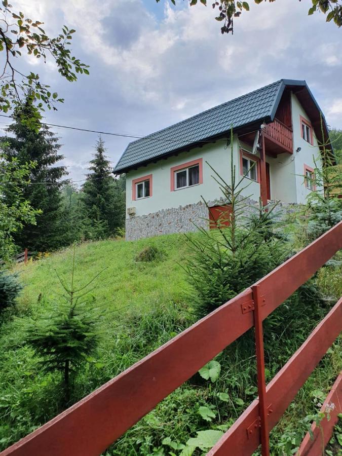 Casa Dor De Ea Villa Dîmbovicioara Екстериор снимка